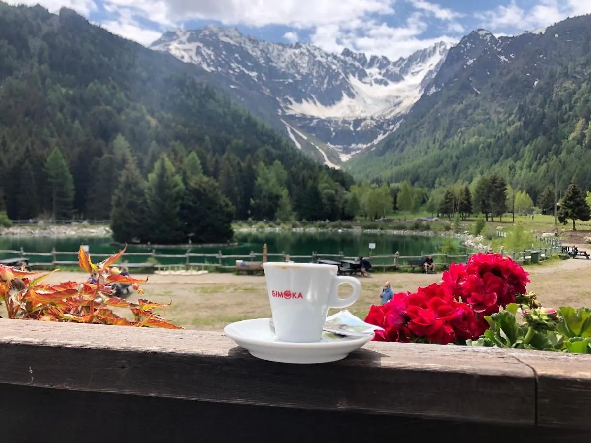Astro Alpino House Lägenhet Passo del Tonale