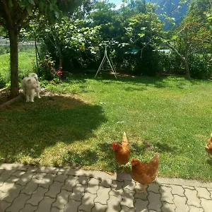 Casa vacanze Casa Sergio, Grosio