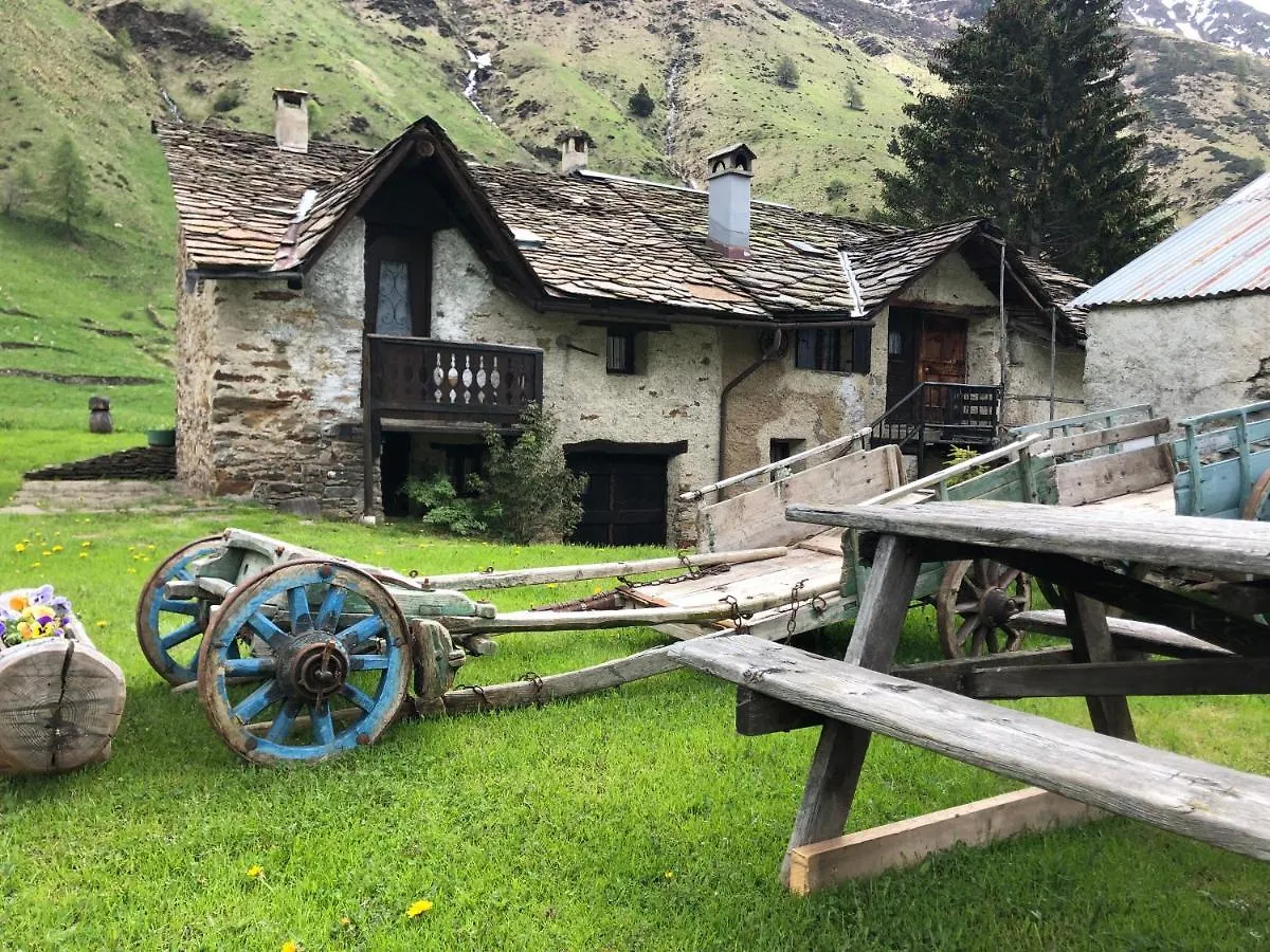 Astro Alpino House Apartment Passo del Tonale